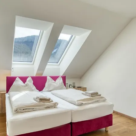 Cooee Alpin Dachstein Hotel