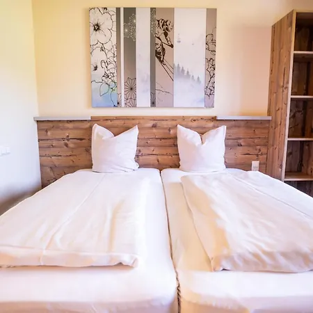 Cooee Alpin Dachstein Hotel 3*