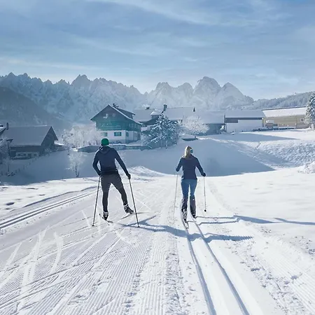 Cooee Alpin Dachstein Hotel 3*