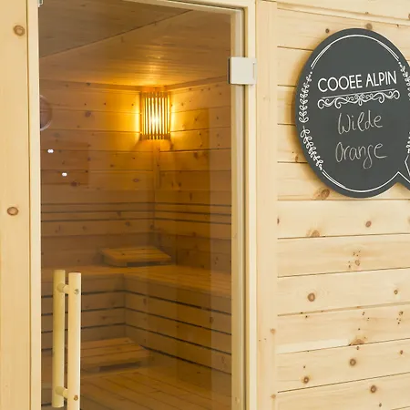 Cooee Alpin Dachstein Hotell 3*