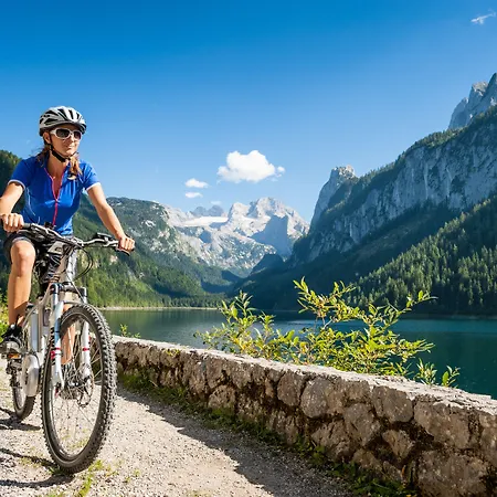 Cooee Alpin Dachstein 3* Gosau