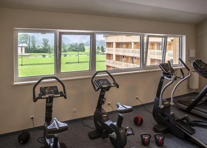 达斯坦阿尔卑斯酷易酒店 3* 格绍